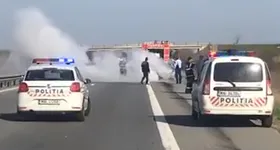 Galerie foto - poza 2