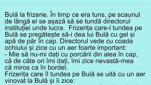 BANC | Bulă, directorul și frizerița