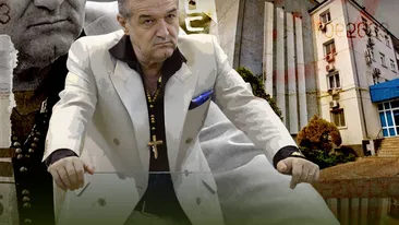 Gigi Becali a cumpărat un camion (la propriu) de produse și... le-a donat la ”Matei Balș”: ”Mi-au trimis o listă lungă fiindcă nu aveau nimic în spital!”
