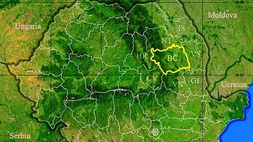 Rezultate Evaluarea Națională 2019 (Capacitate) Bacău