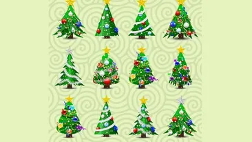Test de logică | Care sunt singurii 2 brazi de Crăciun identici?