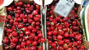 Mai rar așa ceva! Cu câți lei se vinde kilogramul de cireșe românești în Piața Rahova din București: "Nu aveți voie să gustați"