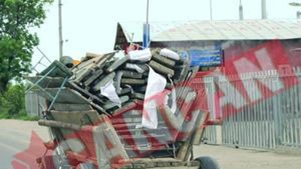 Au plantat flori la groapa de gunoi de la Glina