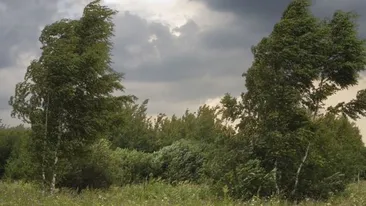 METEO 7 NOIEMBRIE! Înnorările vor persista în toată ţara