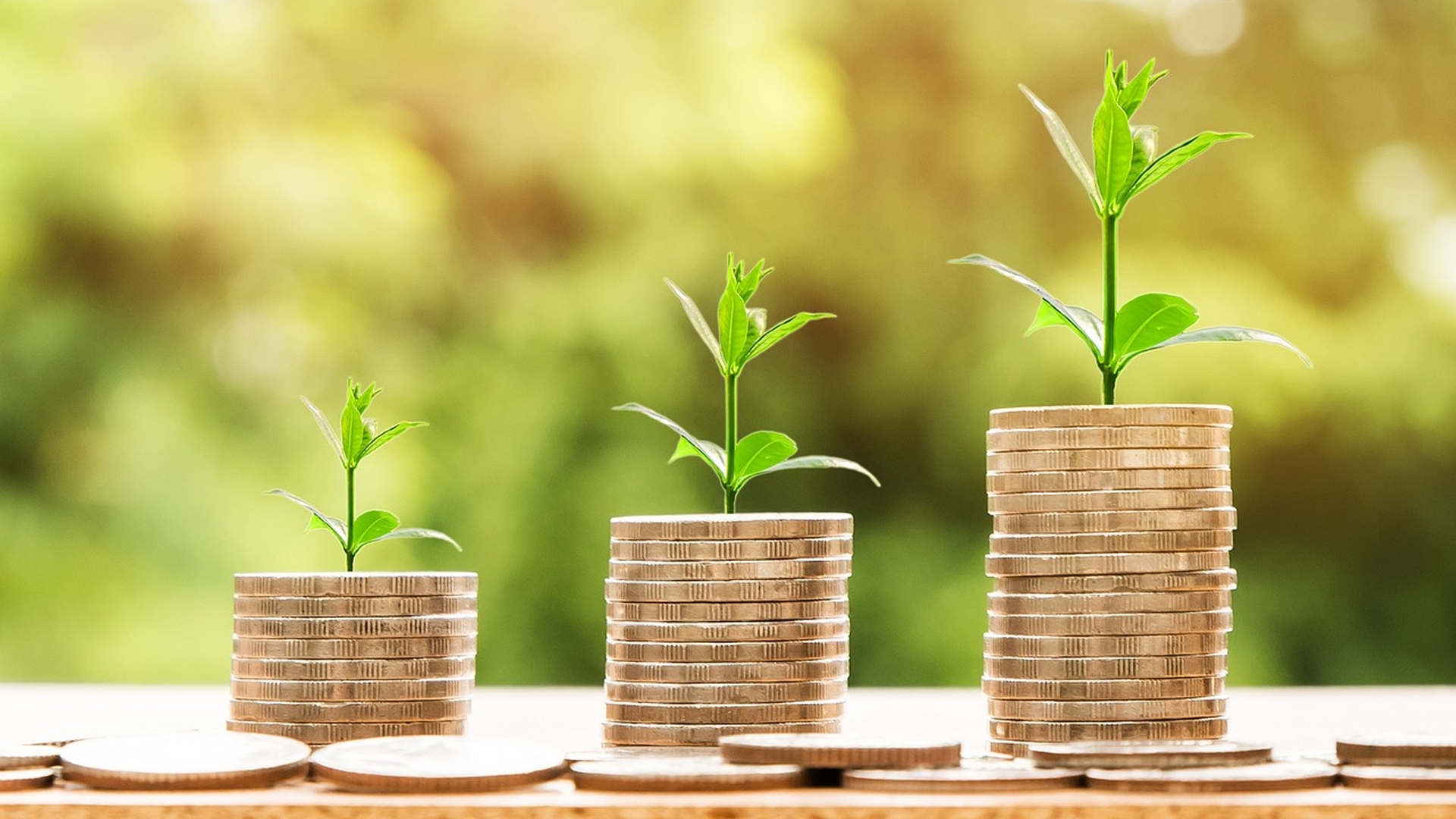 Curs BNR 15 mai 2023. Cât costă euro, dolarul, lira sterlină și lira turcească. Ce procentaj are indicele ROBOR