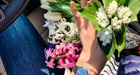 Galerie foto - poza 1