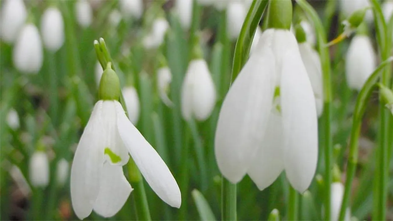 Vremea se va menţine caldă şi frumoasă! Vezi aici prognoza meteo până la sfârşitul săptămânii