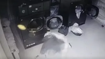 Femeia bătută de bărbatul care s-a lăudat cu fapta sa pe Facebook: „O să mă omoare”