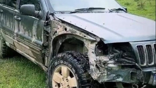 Culiță Sterp a intrat cu mașina într-un copac! Făcea offroad lângă ferma familiei, în Hațeg