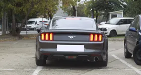 Galerie foto - poza 1