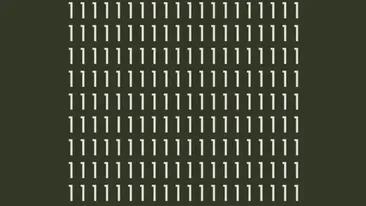 TEST IQ | Găsiți singura literă i pierdută printre cifrele 1 din imagine