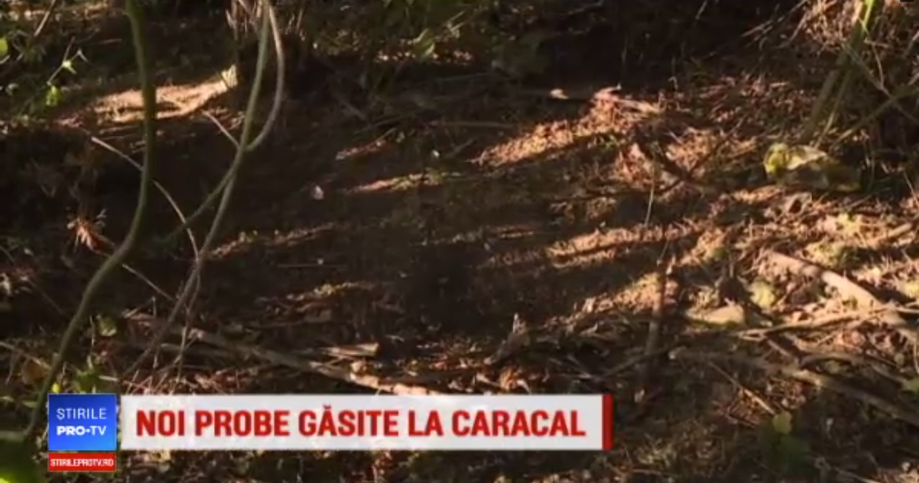 Imagini din pădurea în care Gheorghe Dincă a aruncat trupul Luizei. Detaliul șocant descoperit de anchetatori