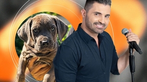 Pepe, primele declarații după ce și-a prezentat noul câine pe Instagram! CANCAN are acum patru lăbuțe și colți: „Am căutat un nume puternic, unic!”