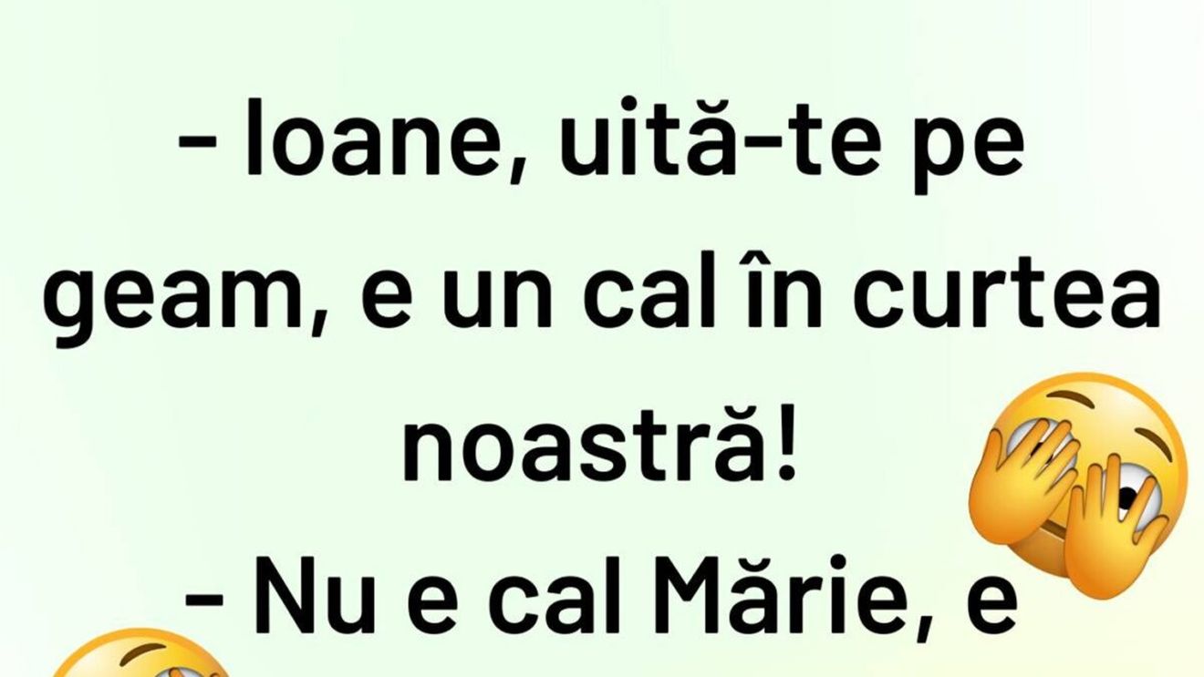BANCUL ZILEI | "Ioane, e un cal în curtea noastră"