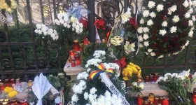 Galerie foto - poza 3