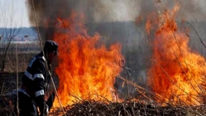 Un bărbat din Suceava, găsit carbonizat în zona unui incendiu