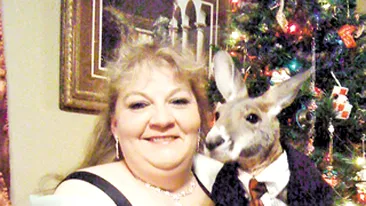 A adoptat un cangur paralizat