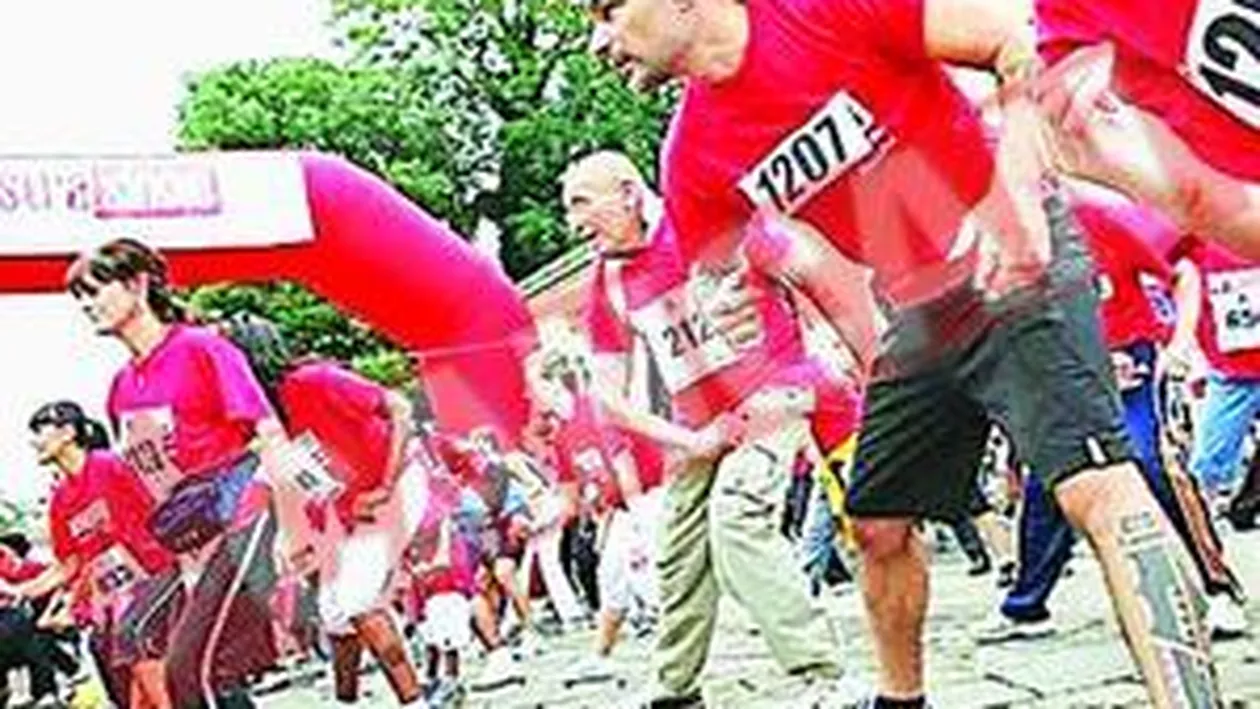 Cursa pentru burlaci in Italia