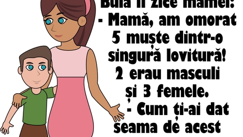 BANC | Bulă îi zice mamei: "Am omorat 5 muşte dintr-o singură lovitură! 2 erau masculi şi 3 femele"