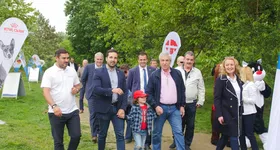 Galerie foto - poza 4