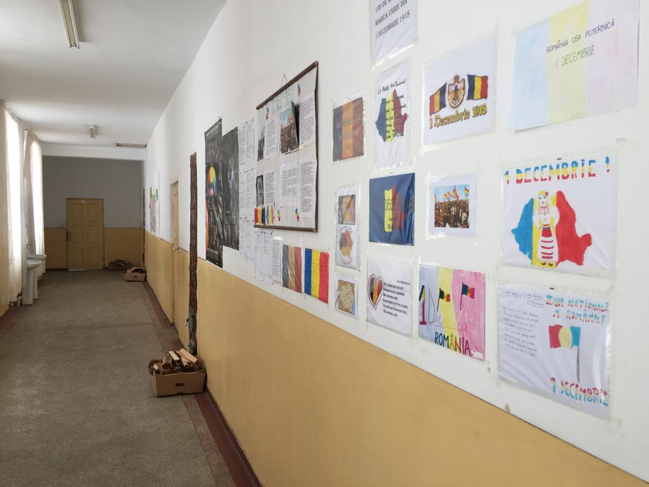 La Școala din Dăneasa a început o anchetă