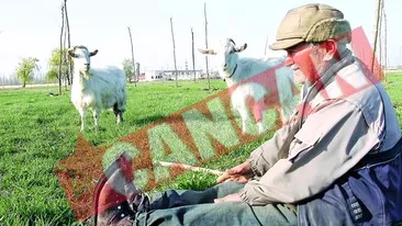 Un pastor de capre, stapan pe insula Lacul Morii