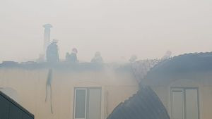 Incendiu la ferma din Rotunda a deputatului Dan Ciocan. FOTO&VIDEO