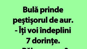 BANC | Peștișorul de aur al lui Bulă