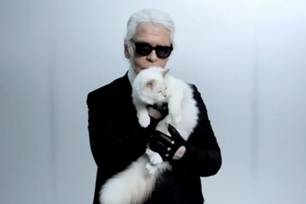 Pisica lui Karl Lagerfeld, ”în doliu”. Choupette le-a „mulțumit” fanilor pe Instagram