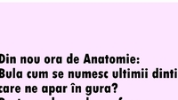 BANC | „Bulă, cum se numesc ultimii dinți care apar în gură?”