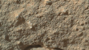 Există viaţă pe Marte? Staţia spaţială NASA, Curiosity, a fotografiat ceea ce pare a fi o floare! Voi ce credeţi?