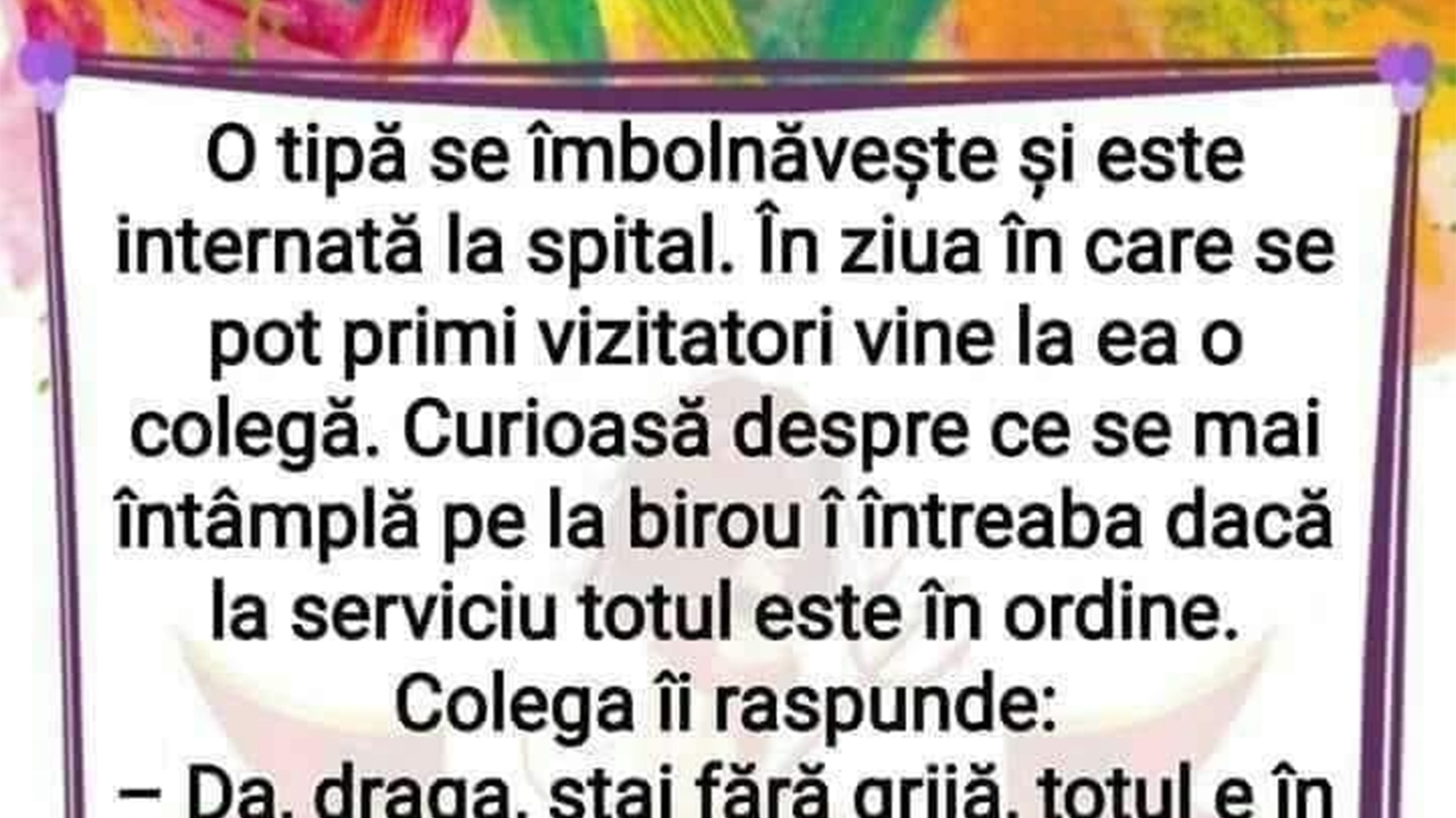 BANC | "Totul e în ordine la birou, am împărțit atribuțiile tale"