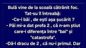 BANC | Bulă, baiul și catastrofa