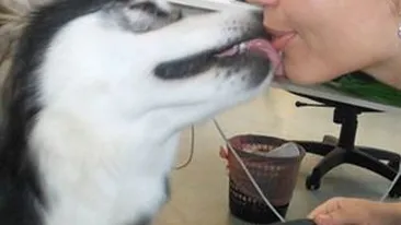 Imaginea prin care şi-a scandalizat fanii! Ce vedetă îşi pupă, cu patos, câinele pe bot! E mai curata decât multi oameni