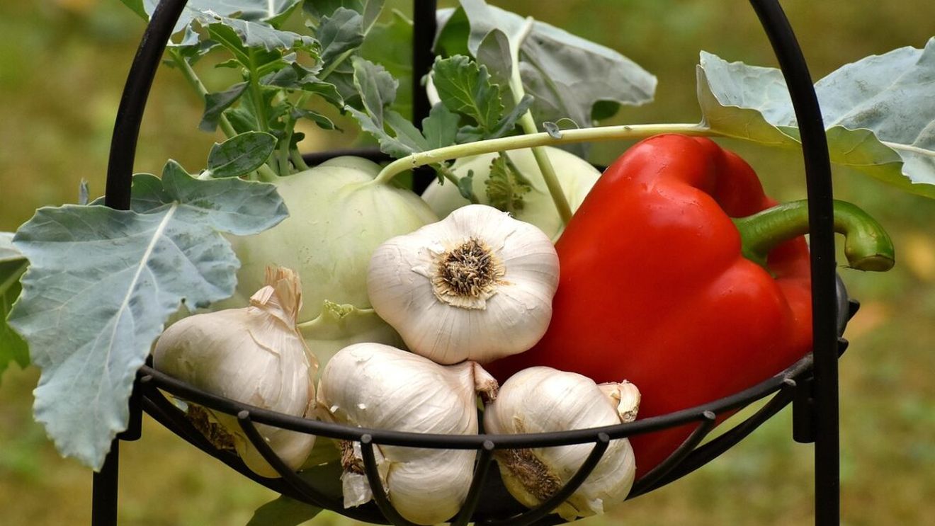 Leguma IEFTINĂ care face minuni împotriva artritei. Un kilogram costă doar 5 lei