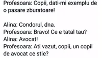 BANCUL ZILEI | Copii, dați exemplu de o pasăre zburătoare! Ce a răspuns Bulă