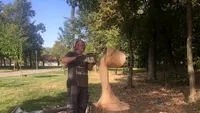 FOTO. Minunăţiile sculptorului cu drujba. Transformă copacii uscaţi din Craiova în opere de artă