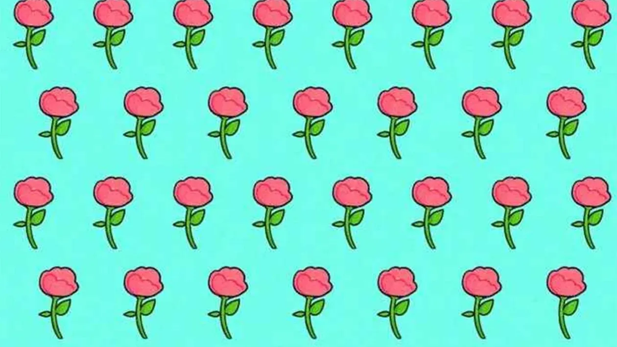 Testul celor 53 de trandafiri | Găsiți floarea diferită de celelalte, în cel mult 5 secunde