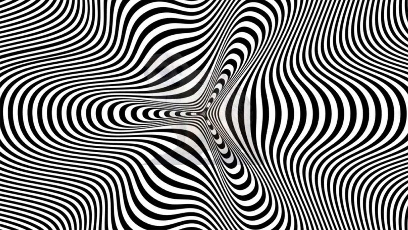 Iluzie optică virală | Ce animal se ascunde în această poză? Doar cei cu un IQ mai mare de 140 răspund corect