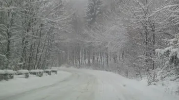 COD GALBEN de ninsori! Ce zone sunt afectate