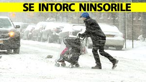 ANM a schimbat radical prognoza. Se întorc ninsorile în România. Pe ce dată revine iarna