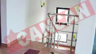 Cap de zmeu vrea un palat de 180.000 euro