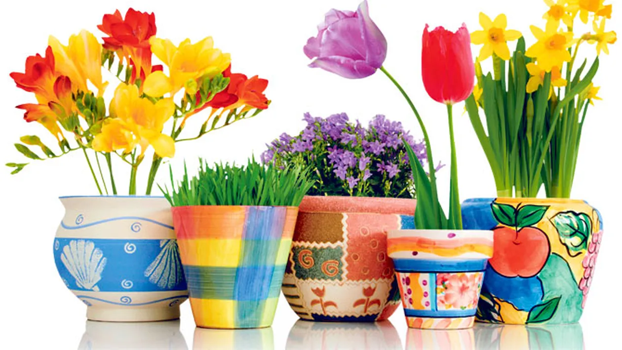 Flori de sezon la ghiveci!