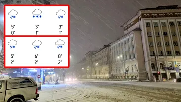 6 zile de ninsori fără oprire în București. Pe ce dată vine prăpădul, potrivit meteorologilor Accuweather