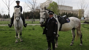 Faceti cunostinta cu Titu, calul pupacios de la Patrula Calare!