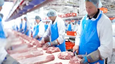 Situație critică la abatorul Pforzheim, din Germania! Alți 80 de muncitori s-au infectat cu noul coronavirus