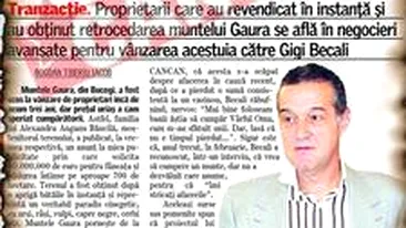 Becali isi ingroapa banii in Salina