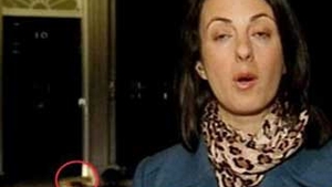 Ultimul membru "ales" sa se implice in politica din Marea Britanie! Premierul britanic angajeaza o pisica pentru a curata biroul de sobolani!
