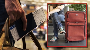 Ireal! Un italian a luat o amendă de 5000 de euro în aeroport din cauza unui suvenir adus dintr-o vacanță exotică. Ce avea în bagaj, de fapt