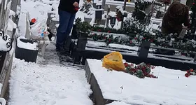 Galerie foto - poza 4